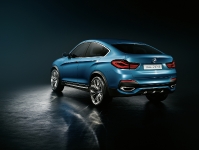 x4 (7)