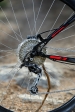 מבחן אופניים GT KARAKORAM COMP. אופני כניסה עם יכולת ב-2,700 שקלים. צילום: תומר פדר