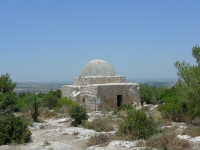 טיולי שטח יונדאי מגלים את סודות פארק איילון קנדה. בתי מרחץ, אמות מים, סיפורי גבורה ומגפה אחת גדולה. צילום: פז בר