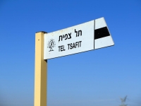 טיול שטח עם סקייוול ET5. אוכלים ובולסים בין צפרירים לתל צפית - אספרגוסים בין שפלת יהודה לשפלה. צילום: רוני נאק