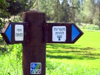 טיול שטח עם סקייוול ET5. אוכלים ובולסים בין צפרירים לתל צפית - אספרגוסים בין שפלת יהודה לשפלה. צילום: רוני נאק