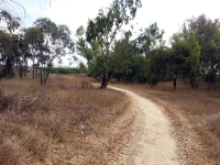 טיול שטח סינגל בארי. מסלול לאופני הרים בסינגל בארי. בין מכרות גופרית, לימח\"ים עתיקים ואתגרי רכיבה. צילום: רוני נאק