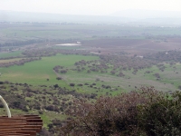 טיול אופניים סינגל בית קשת. סינגל משולב שבילים הנושק לקשת הגדולה של הר תבור. רכיבת אופניים מאתגרת בנוף ייחודי של אלונים ויער קק\"ל נטוע לצד אתרים ארכיאולוגיים מעניינים. צילום: רוני נאק