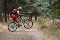 מבחן אופני הרים, קנונדייל ג\'אקיל 2012. חלוקת המשקל מאפשרת הנפת גלגל קלילה מעל כל מכשול. אפילו 4X4 צילום: פז בר