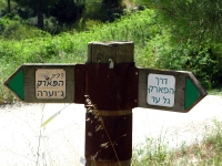 טיול שטח עם יונדאי סנטה פה. מגלעד ליוגב, חמדות רמת מנשה, דרך משמר העמק, הקישון שדות עמק יזרעאל ליוגב. צילום: רוני נאק