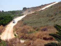 מבחן רכב מרצדס GLK. על השביל בין המטעים - בקצב מתון ועל שביל מסודר כמו זה ה-GLK ממש נעים. צילום: רוני נאק