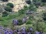 טיול שטח לרמת הגולן עם יונדאי IX35. על ציר המוסכים מגונן לנבי יהודה, דרך נחל עורבים, ירדינון, שמיר וכפר סאלד. צילום: רוני נאק