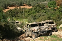 האמרים רועים בשטח. בית הספר לנהיגה עם טיפים מהזקן. צילום: רמי גלבוע