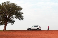 מבחן דרכים יונדאי סנטה פה 2013. יונדאי חוזרת לשטח עם דגם חדש לרכב הפנאי. שקמה על גדות נחל שקמים. צילום: פז בר