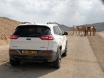 מבחן רכב ג'יפ צ'ירוקי. האינדיאני יוצא למדבר הישראלי. האם עדיין רכב שטח אמיתי? צילום: ניר בן זקן