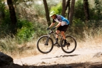 מבחן אופניים KTM AERA PRO. אופני XC מרתון מהירים עם זנב קשיח ושלדת קרבון במחיר של 9,500 שקלים בלבד. צילום: תומר פדר