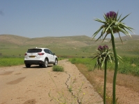 מבחן דרכים מאזדה CX5. מהנה מאד בכביש מפותל, פחות מזה על כביש מהיר. צילום: רוני נאק