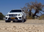 מבחן רכב מרצדס GL350AMG. פרימיום אמיתי עם יכולת שטח של ממש, נימוסי כביש ראויים, טווח נסיעה של 1,000 קילומטרים ותג מחיר בהתאם. צילומים: DAIMLER, רוני נאק