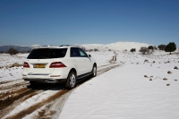 mercedes ml350 2012 (12)