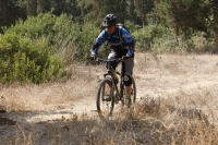 מבחן אופניים מרידה ביג 7 2014. זריז בין העצים בזכות זווית ההיגוי החדה והגלגלים. צילום: פז בר