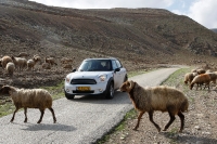 מבחן רכב מיני קאנטרימן קופר ספייס. גרסת הכניסה של מיני קאנטרימן קופר במחיר 180,000 שקלים. כל המראה של מיני פחות מנוע. צילום: פז בר