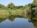 מקומות ואנשים עם סוזוקי ג'ימני. ביקור באגם ניצנים. צילום: עדי שפרן כפרה