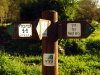 מסלול טיול עם יונדאי IX35 לבית קשת. דרך נוף מטופחת מאד, פינות חמד לרוב, תאי שטח משתנים, ניקיון ושלווה. נירוונה בבית קשת. צילום: רוני נאק