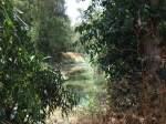 טיול שטח עם מיצובישי אאוטלנדר. לגבעת האירוסים, נחל שורק וכנסיה ביזנטית. נחל שורק הריחני. גיחת שטח מהירה לניקוי הראש. צילום: רוני נאק
