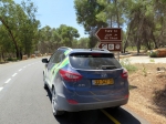 מסלול טיול בגלבוע עם יונדאי. מעין יזרעאל לבית אלפא ולסחנה. לא לוותר על נישנוש בחוות התבלינים וטבילה במעיינות. ברור! צילום: רוני נאק