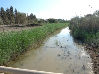 מסלול טיול עם יונדאי לעמק יזרעאל, נחל ציפורי ואלון הגליל. צילום: פז בר