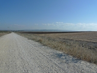 מסלול טיול עם יונדאי לעמק יזרעאל, נחל ציפורי ואלון הגליל. צילום: פז בר