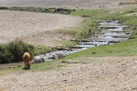 מסלול טיול עם יונדאי לעמק יזרעאל, נחל ציפורי ואלון הגליל. צילום: פז בר