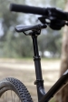 מבחן אופניים trek fuel EX8. אופני כלבו, איכותיים, טכנולוגיים, מאסיביים וחסונים - אופני ההרים שעושים הכל? צילום: פז בר