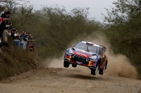 loeb-argt-d3