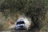 RALLY-WRC-MEXICO-2012 צילום ווילי ווינס לאתר שטח