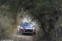 RALLY-WRC-MEXICO-2012 צילום ווילי ווינס לאתר שטח