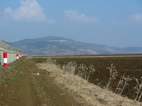 מסלול טיול בעקבות עצי הזית הקדומים של הצפון. מציפורי דרך בקעת בית נטופה לאבטליון. צילום: רוני נאק