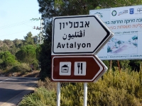 מסלול טיול בעקבות עצי הזית הקדומים של הצפון. מציפורי דרך בקעת בית נטופה לאבטליון. צילום: רוני נאק