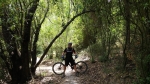 טיול אופניים אל הפינות הנסתרות של יער הזורע וגחר. עם מיצובישי אאוטלנדר. בין שבילי 4X4, לסינגלים לאופניים, מעיינות ופינות חמד. צילום: רוני נאק