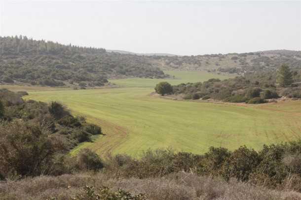 מסלול שטח פארק עדולם. אחו מקסים בין גבעות עדולם. צילום פז בר