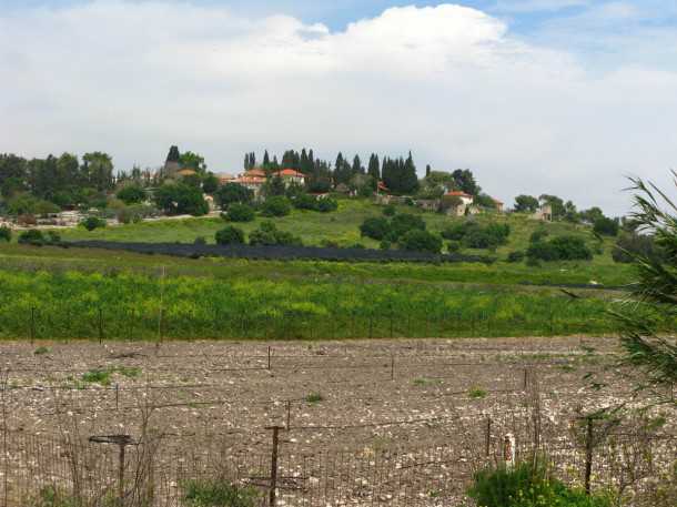 טיולי שטח לפסח עם יונדאי IX35. בת שלמה. ישוב לשימור עם גבינות משובחות לזלילה אצל שוורצמן. המחיר...לא עממי. צילום: רוני נאק