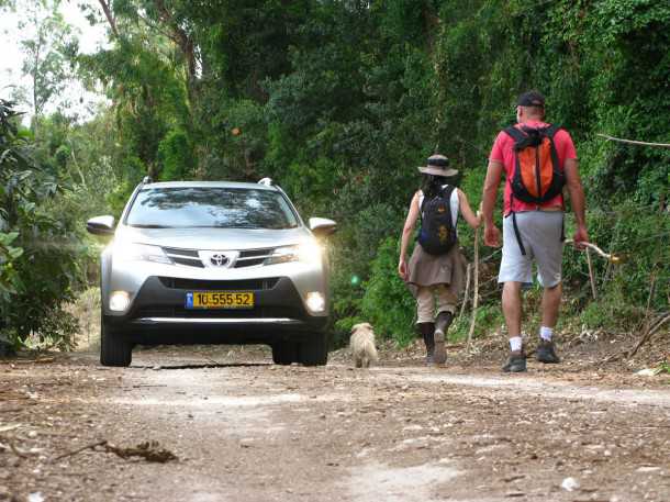 מבחן רכב טויוטה RAV 4. מרכב חדש עם מראה מותגי מעודכן ורמזים דקיקים לעיצוב של טויוטה RAV 4 המסורתי. צילום: רוני נאק