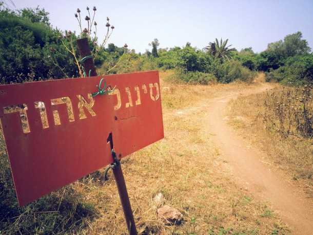 טיול אופני הרים בסינגלים של אהוד אפרתי ז"ל. הכניסה לסינגל אהוד 1 בין חורבות הכפר סינדיאנה. צילום: רוני נאק