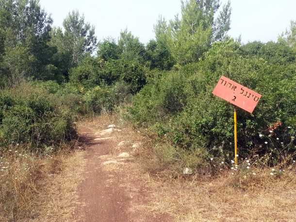 טיול אופניים בסינגלים של אהוד אפרתי ז"ל. הכניסה העליונה לסינגל אהוד 2 מזמנת תחילתה של רכיבת אופניים מענגת ומעט טכנית בסבך אלונים מוצל ונעים. צילום: רוני נאק