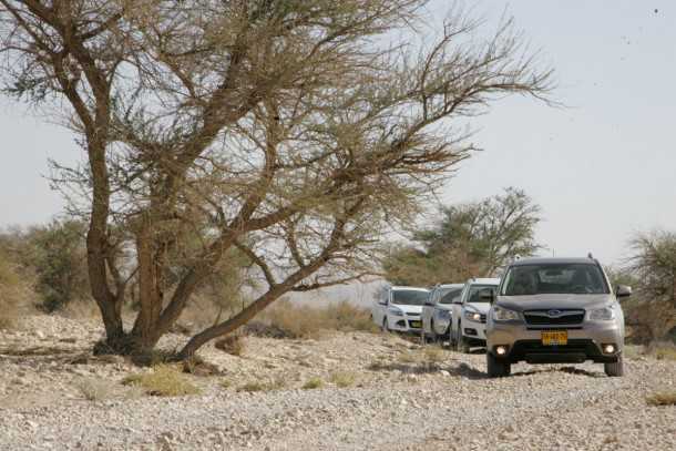 מבחן רכב סובארו פורסטר מוביל את השיירה. והמנצח במבחן הוא...סובארו פורסטר! צילום: רוני נאק