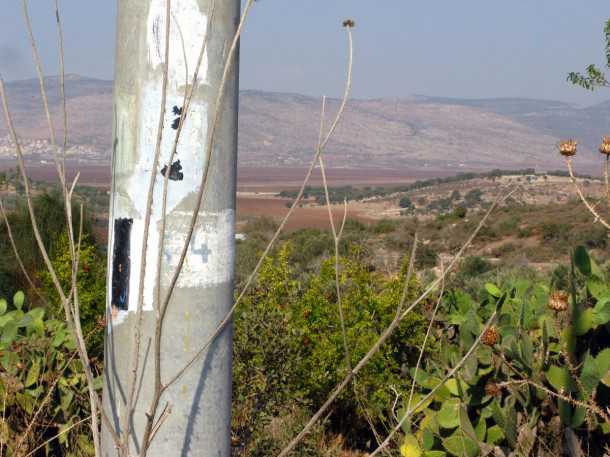 מסלול שטח, טיול מעצי הזית העתיקים בישראל לרוח של אבטליון. הירידה מקבר רבי יהודה הנשיא למצפה סנדו. צילום: רוני נאק