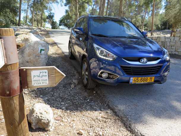 טיול שטח עם יונדאי IX35. יוצאים ליער לחפש אספרגוס אורגני. צילום: רוני נאק
