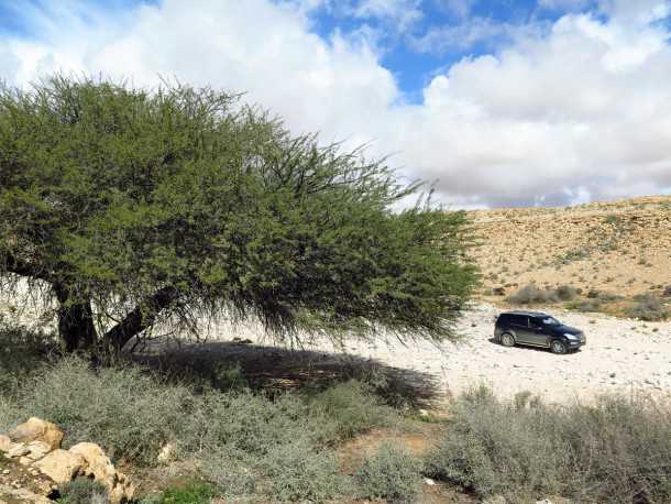 מבחן רכב סאנגיונג רקסטון. לא פוחד משבילי אש וסלעים. טרנספר עם LOW, בקרת משיכה ומהלכי מתלה שימושיים מאד. יש גם בקרת מהירות במורד והראות החוצה מצויינת. צילום: רוני נאק