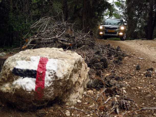 מבחן רכב סקודה YETI. רכב הפנאי הקטן מסקודה מגיע סופסוף לבשלות אחרי מתיחת הפנים. המפלצת החביבה מוכה לצאת מהיער? צילום: רוני נאק