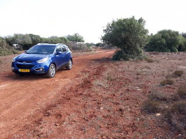 טיול שטח הר טורען. מקיבוץ בית רימון עד למצפה נטופה על דרך נוף הר טורען. צילום: רוני נאק