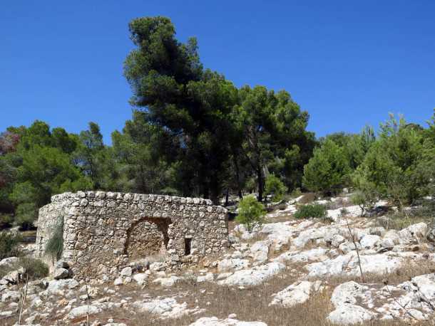 טיל אופניים לגלבוע. הסינגל ייקח אתכם להיכרות עם חלקים מוכרים ומטויילים פחות של הגלבוע ולמקומות כאלו. צילום: רוני נאק