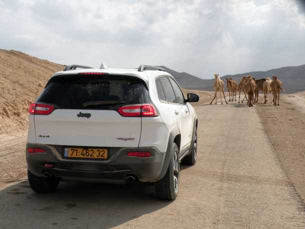 מבחן רכב ג'יפ צ'ירוקי. אלפא בכביש? רק אם הגמלים יזוזו, המנוע לא מרגיש כל-כך חזק וההיגוי מעורפל. שיפור מהותי מול הצ'ירוקי היוצא עדיין לא ברמה של הטובות באירופאיות. צילום: ניר בן זקן