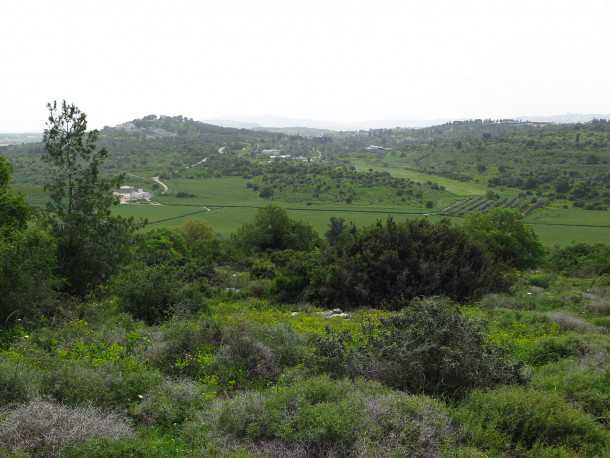 טיול שטח לרשת השבילים של אלון הגליל עם מיצובישי אאוטלנדר. צילום: רוני נאק