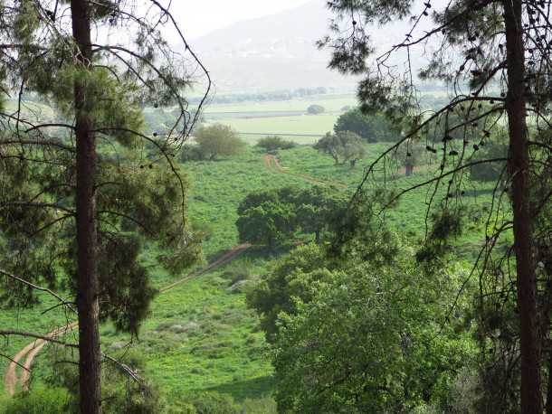 טיול שטח לרשת השבילים של אלון הגליל עם מיצובישי אאוטלנדר. צילום: רוני נאק