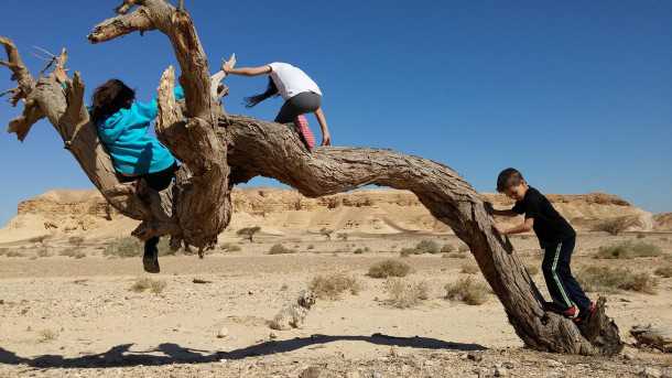 יצאנו לערבה עם לנד רובר דיסקברי ספורט. היה כיף! אני חושב...צילום: רוני נאק